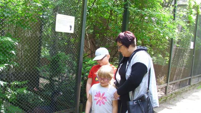 W Zoo